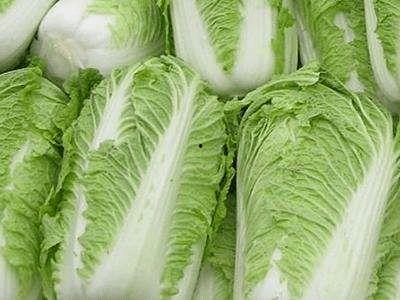 白菜在线观看,一场视觉盛宴的云端之旅  第2张